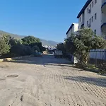 Pino